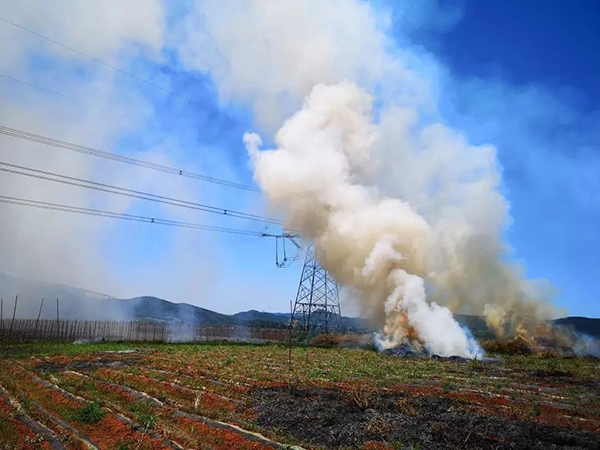 春季到来草木干燥时刻预防山火发生,输电线路防山火在线监测装置