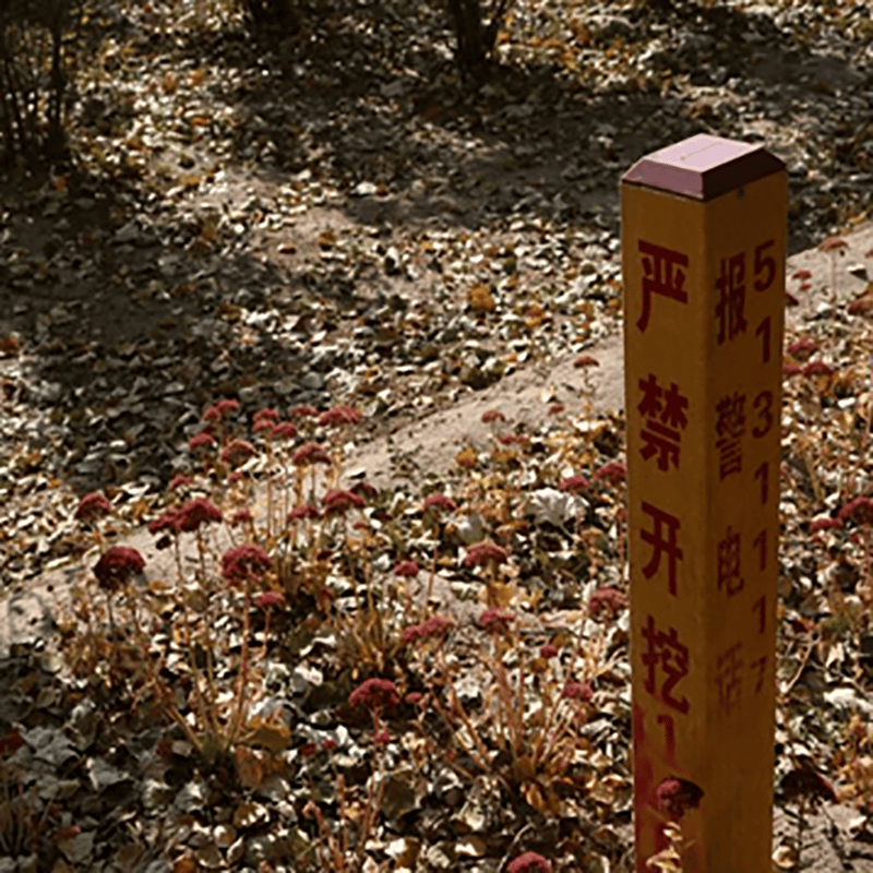 智能标志桩的蜕变，从沉默寡言到主动发声为基础设施保驾护航