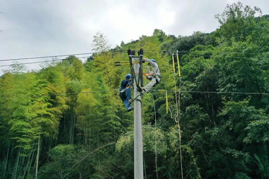 Distribution network traveling wave fault warning and localization, distribution lines on the Distribution network traveling wave fault warning and localization, distribution lines on the