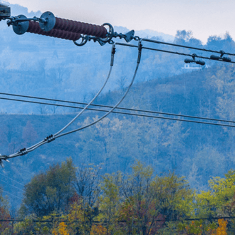 预警，安全先行的避雷器在线监测系统如何在电网中“大放异彩”
