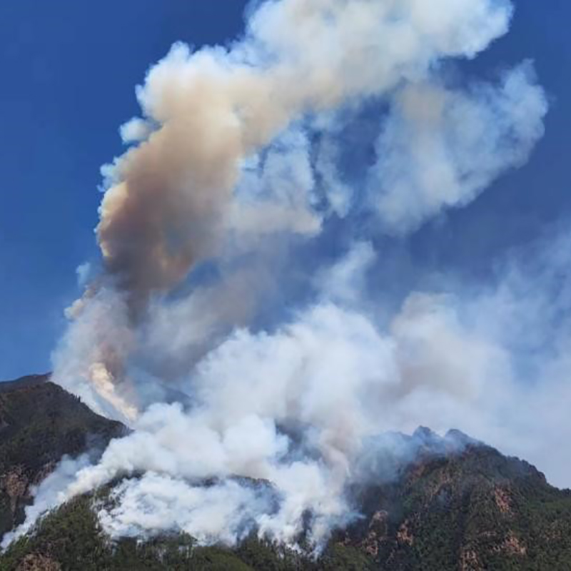 森林防火，宣傳為先：智能監控宣傳桿構建綠色安全屏障