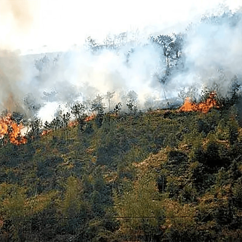 森林消防高壓滅火水泵：守護(hù)綠色家園，共筑安全屏障