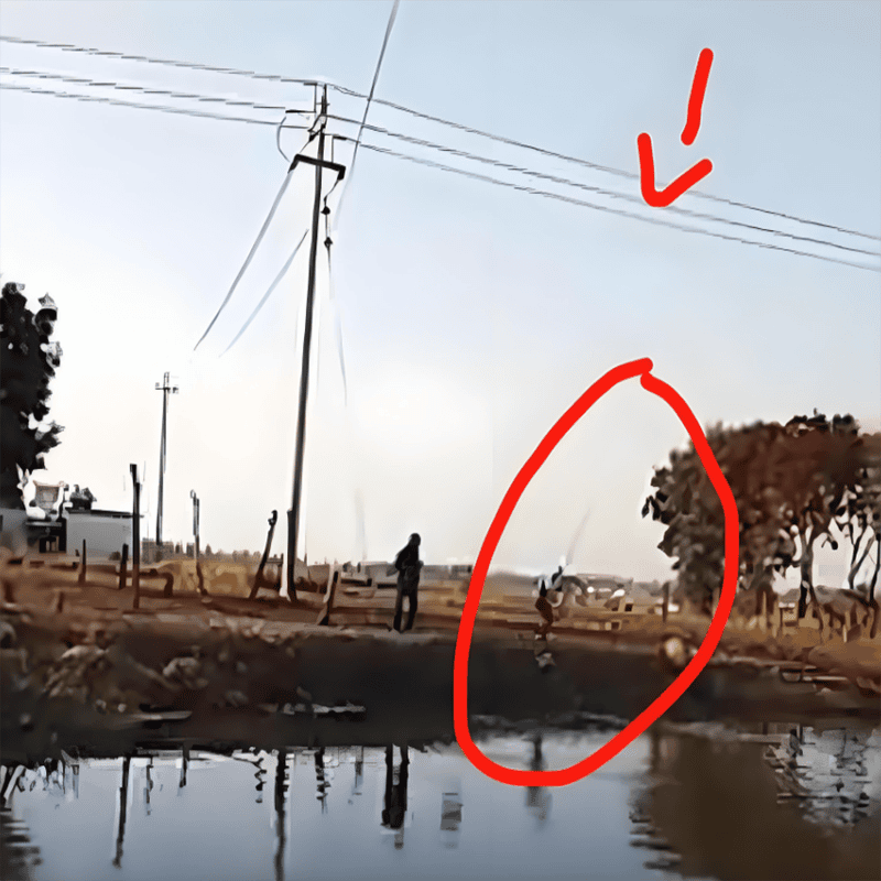 高壓防釣魚觸電警示裝置，雨天釣魚更需警惕！