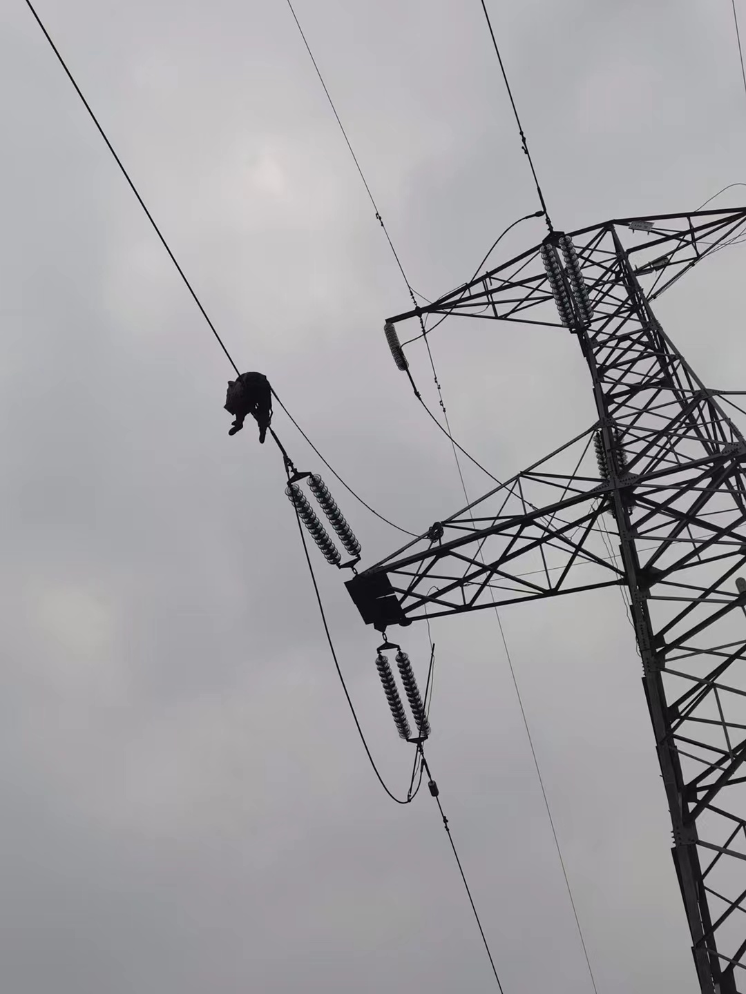 线输电线路异常故障监测,输电线路分布式故障定位装置