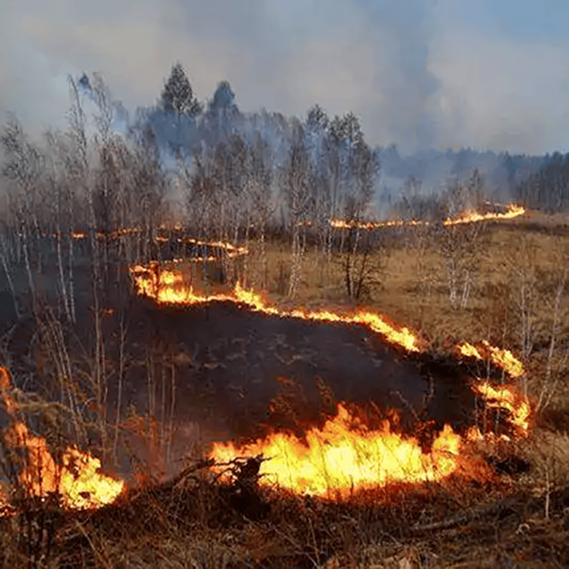 輸電線路防山火在線監(jiān)測(cè)系統(tǒng)讓損失少一點(diǎn)再少一點(diǎn)！