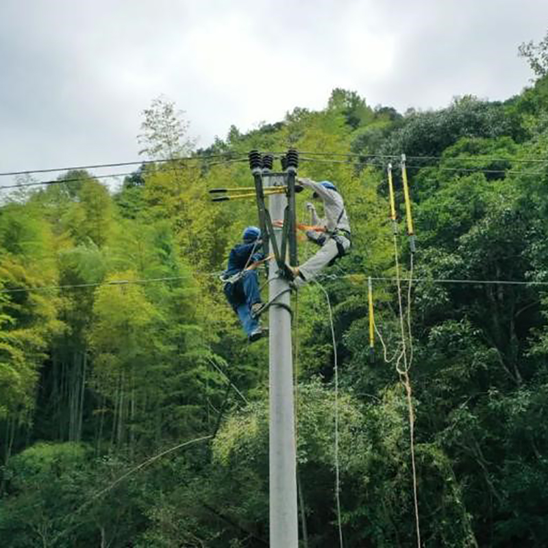 配網行波型故障預警與定位，配電線路上的“輕功水上漂”