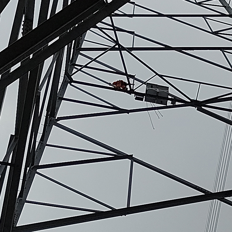 2024.02.01 架空线路在线监测装置(AI球机) 安装案例