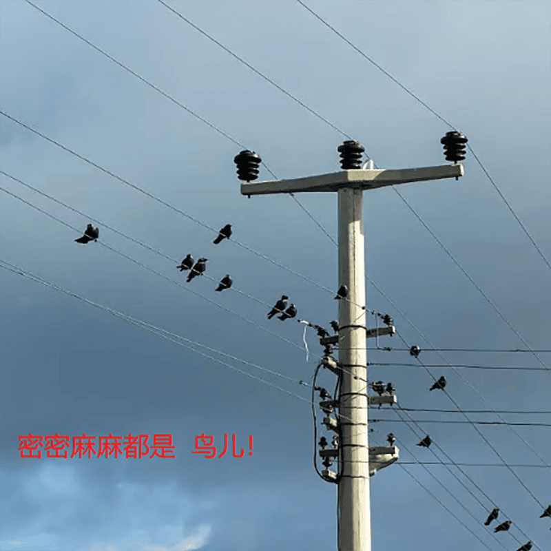 输电线路AI识别智能驱鸟装置：鸟儿一来，直接“吓懵圈”！